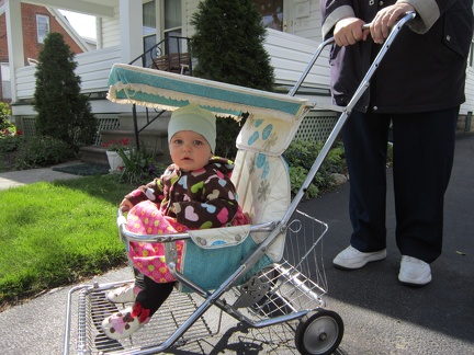 In Daddy s Old Stroller